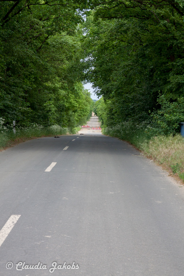 20160516102839 IMG 0762