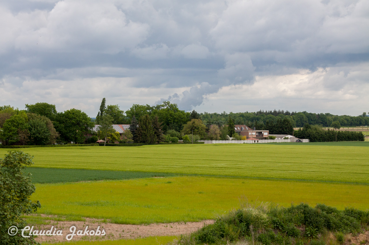 20160516102847 IMG 0763