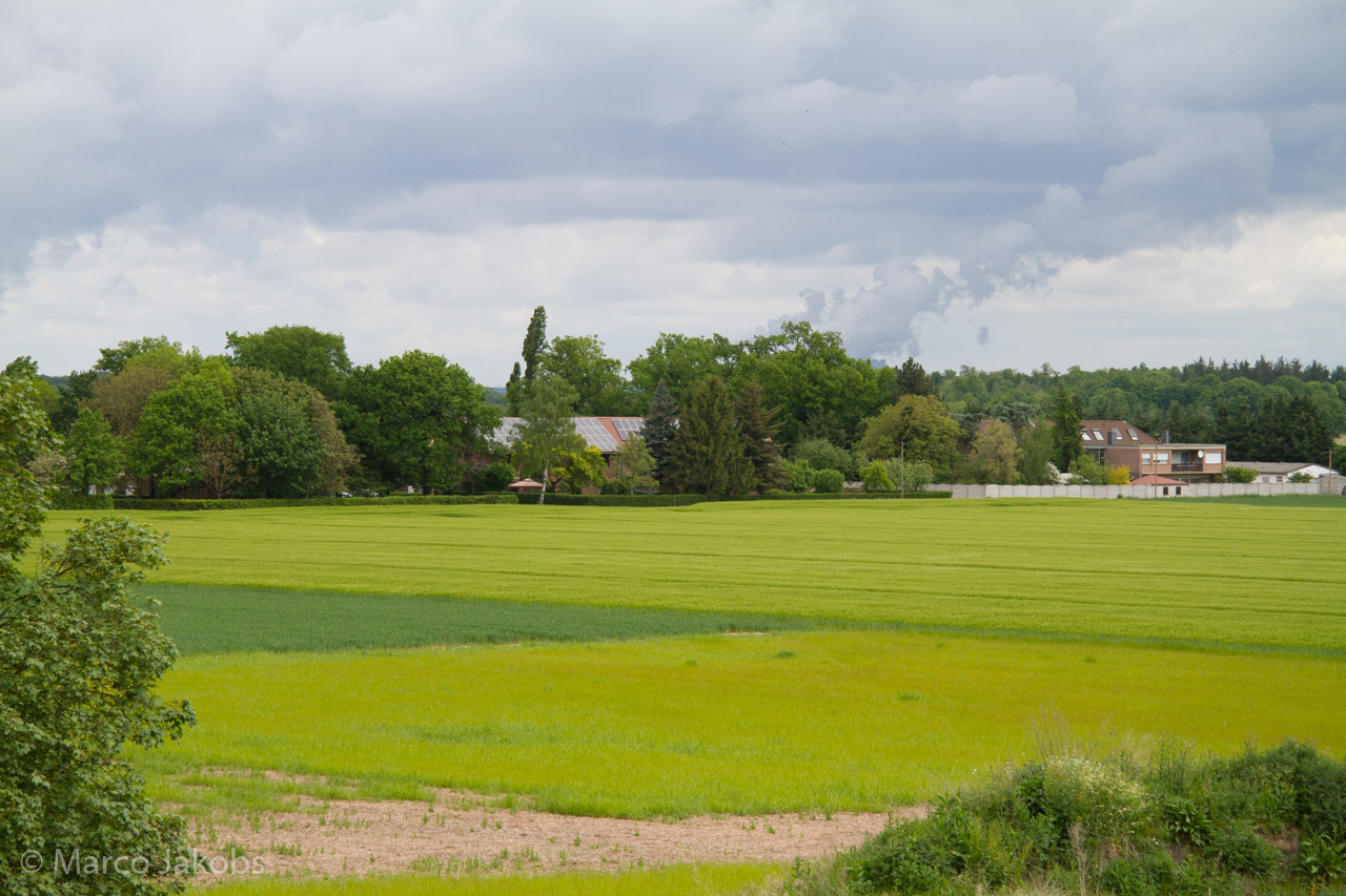 20160516102910 MJ  4609