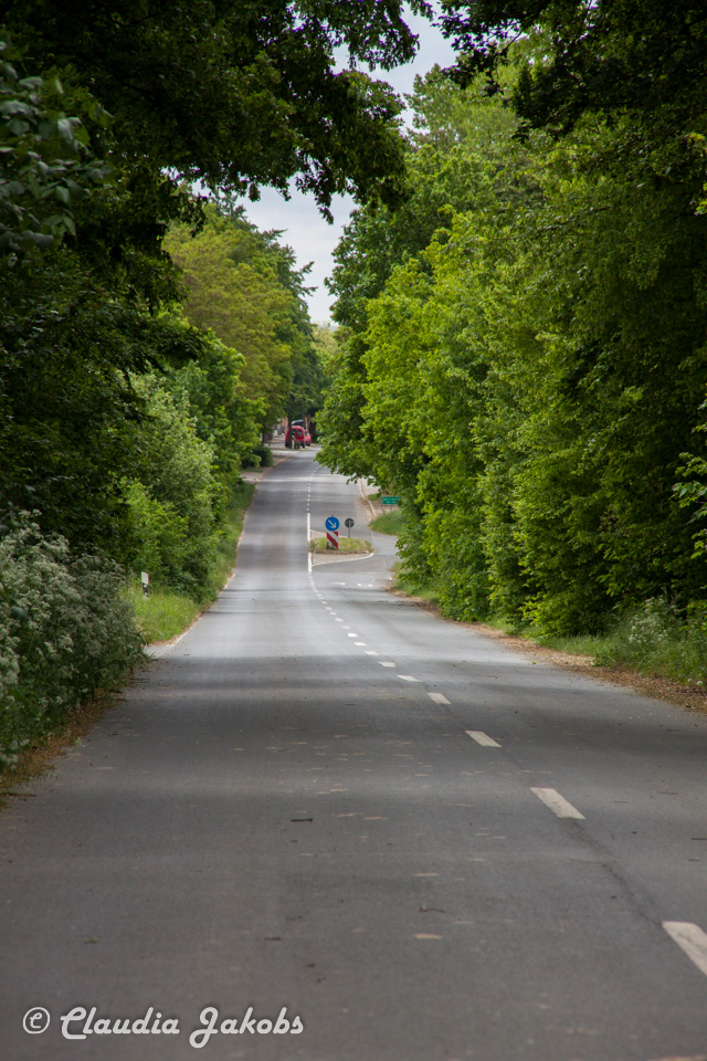 20160516102919 IMG 0766