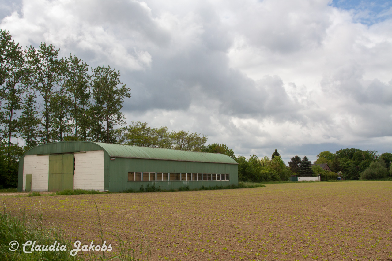 20160516103046 IMG 0767