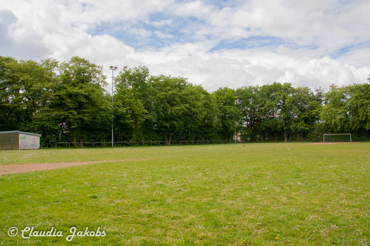 20160516103329 IMG 0770