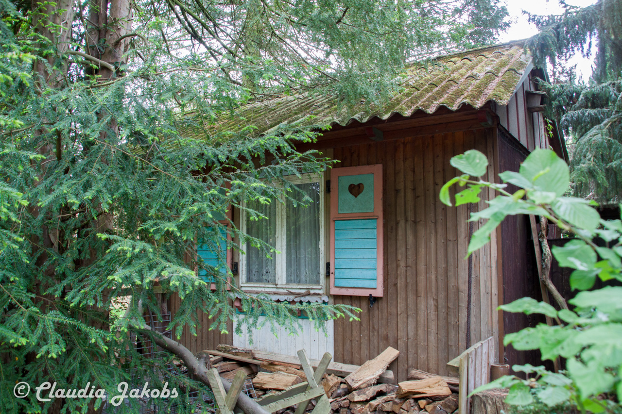 20160516103517 IMG 0772