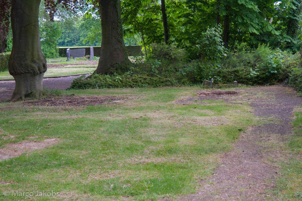 20160516105338 MJ  4642