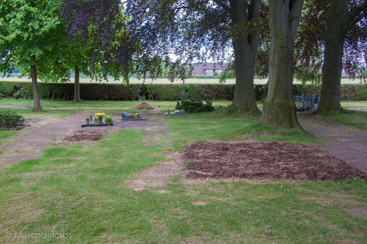 20160516105421 MJ  4643