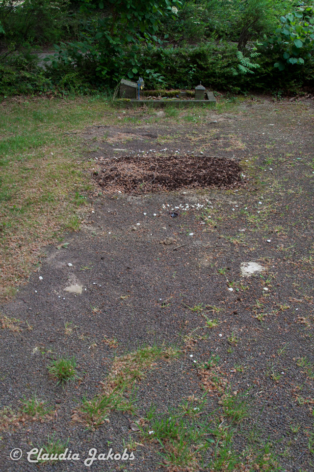 20160516105438 IMG 0791