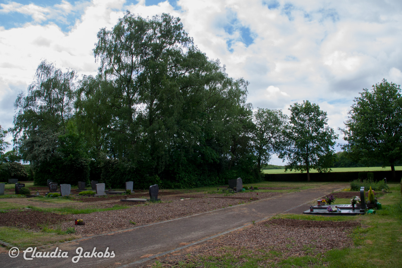 20160516105528 IMG 0793