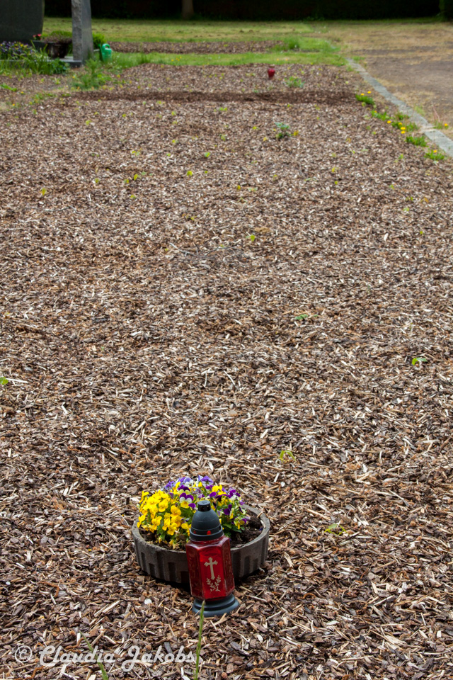 20160516105554 IMG 0794