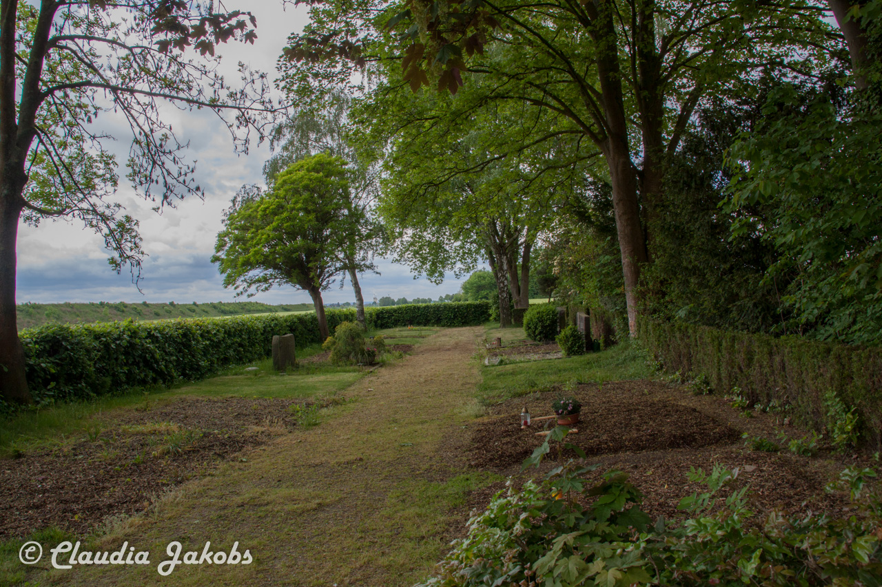 20160516105943 IMG 0804