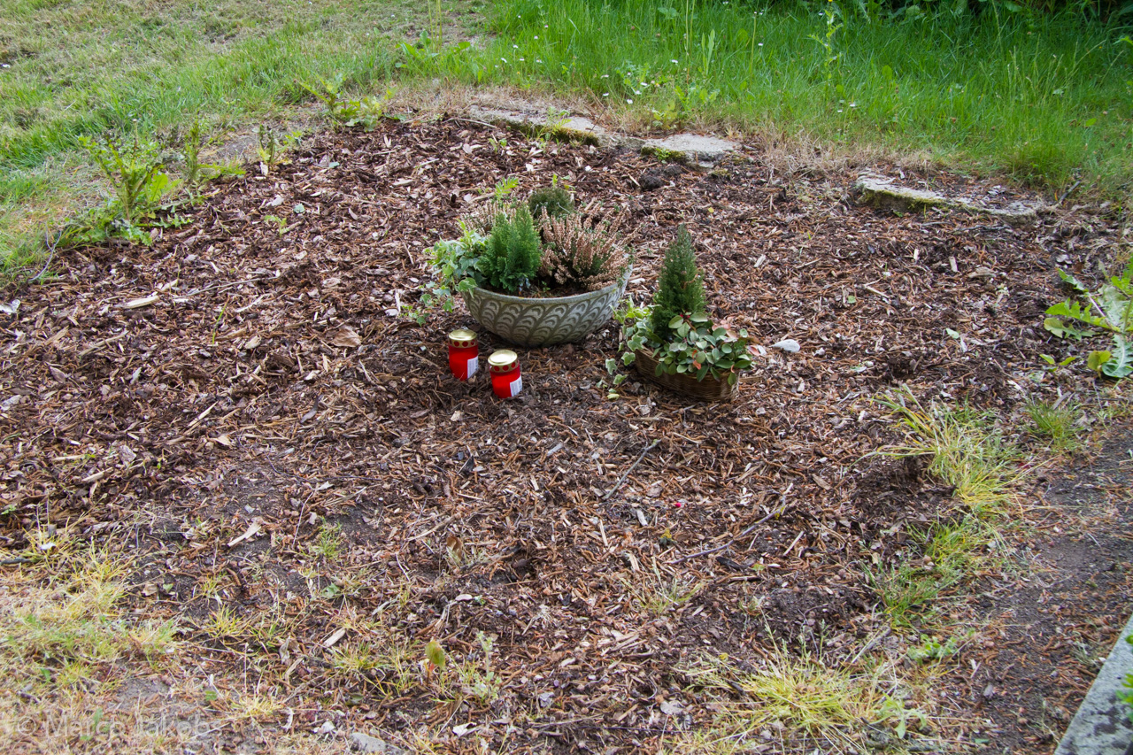 20160516105953 MJ  4654