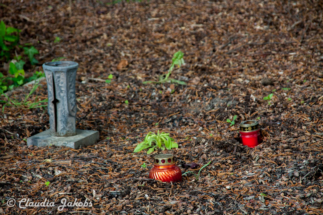 20160516110058 IMG 0807