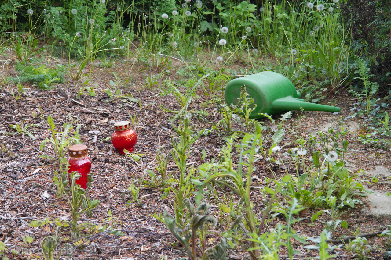 20160516110113 MJ  4659