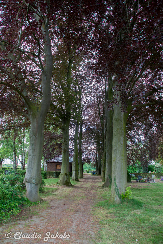 20160516110147 IMG 0808