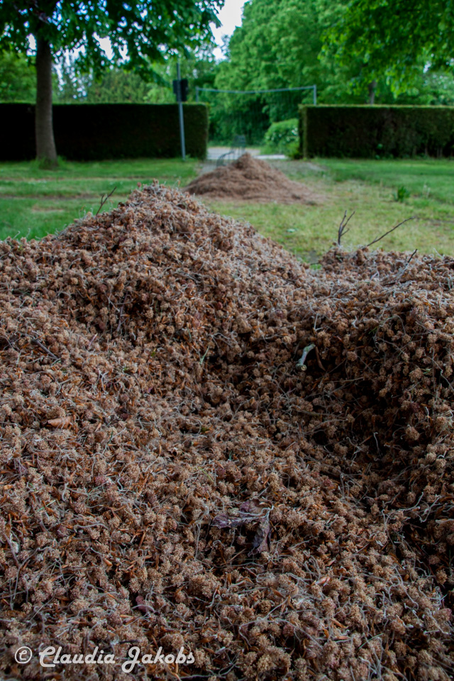 20160516110353 IMG 0810