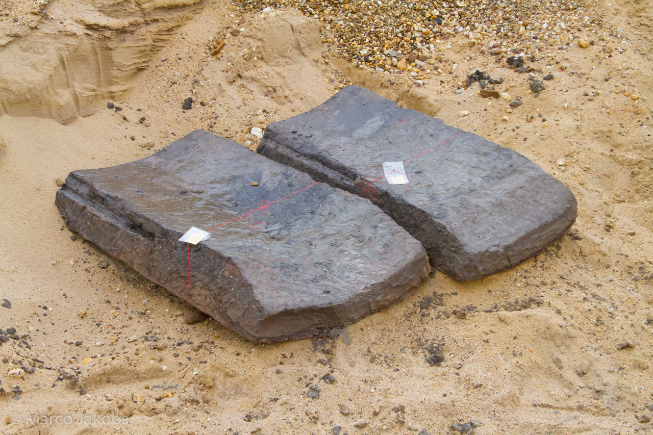 20200708171322 MJ  8211