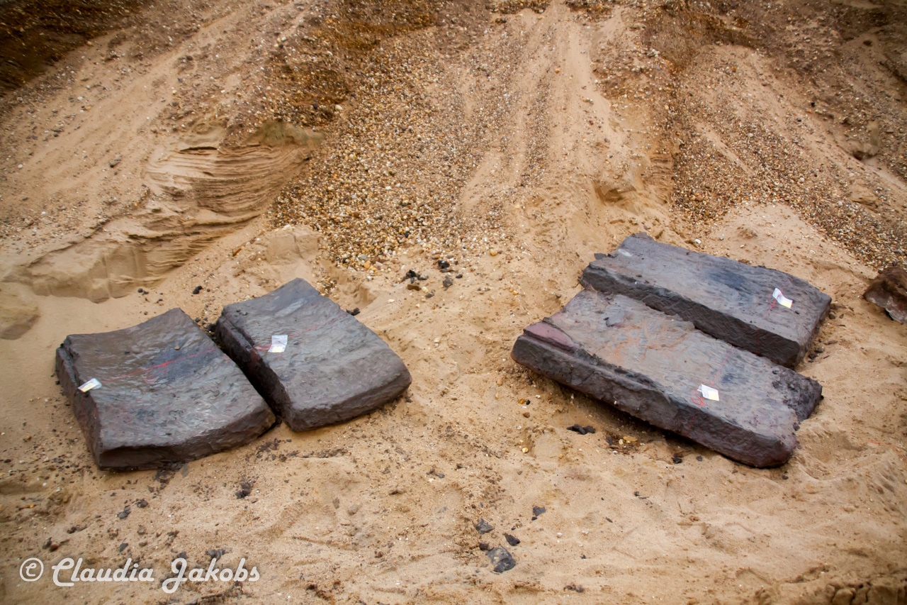 20200708171358 IMG 6604