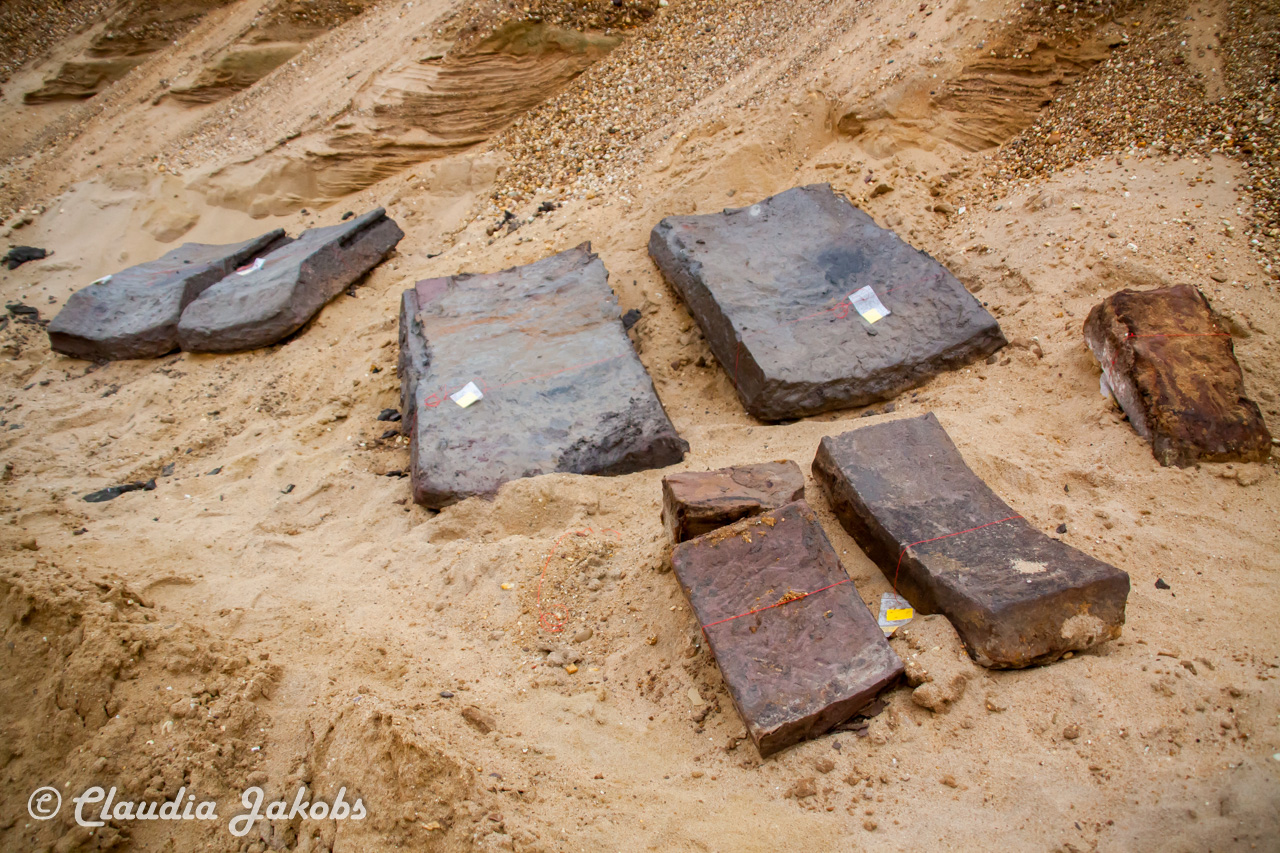 20200708171459 IMG 6607