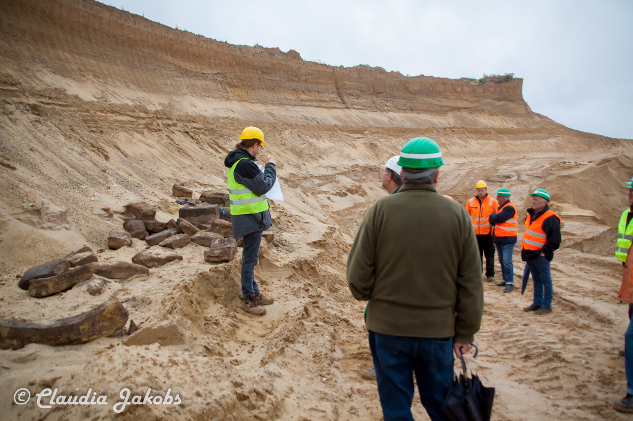 20200708171511 IMG 6608