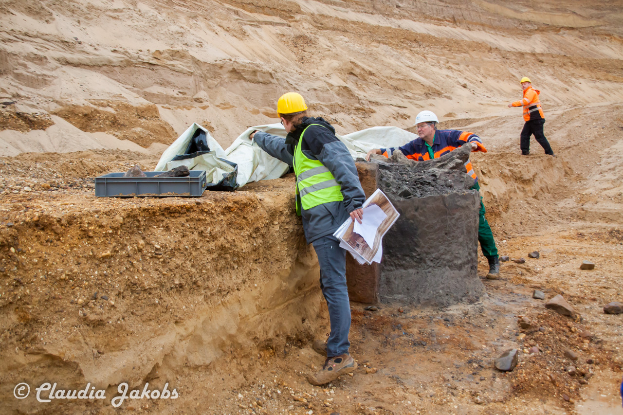 20200708172244 IMG 6614