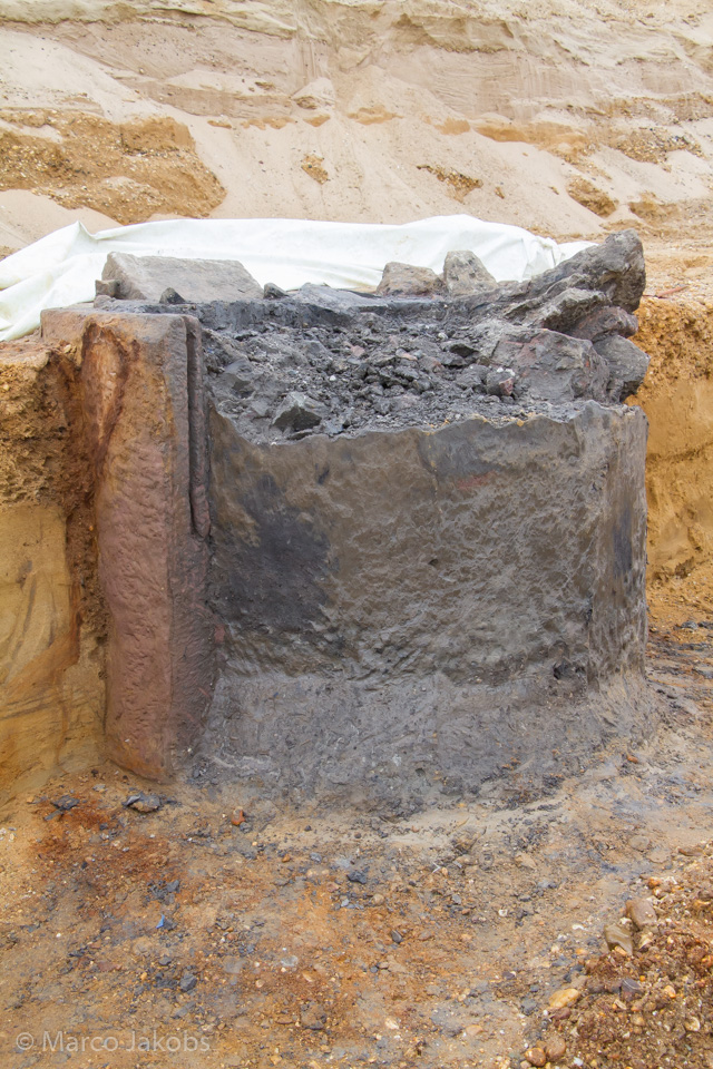 20200708172311 MJ  8222