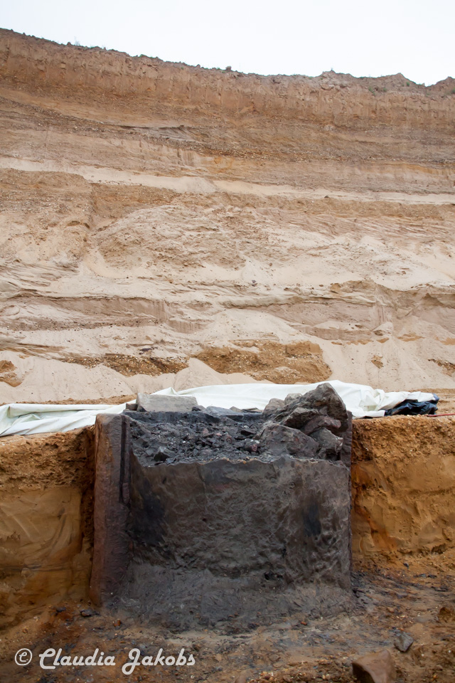 20200708172441 IMG 6621