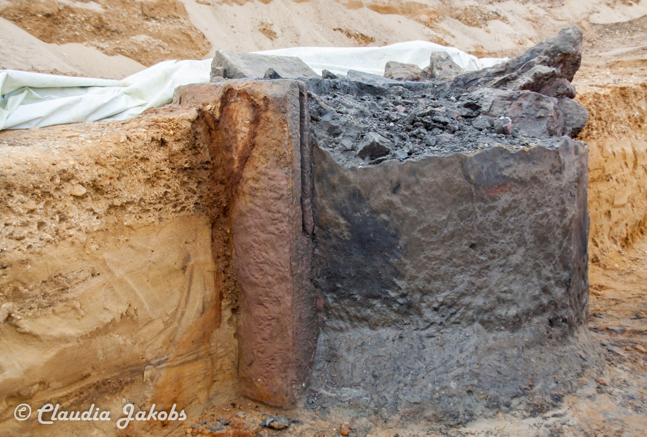 20200708174442 IMG 6629