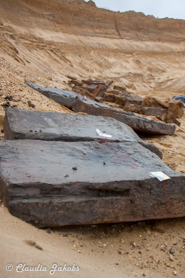 20200708175419 IMG 6638