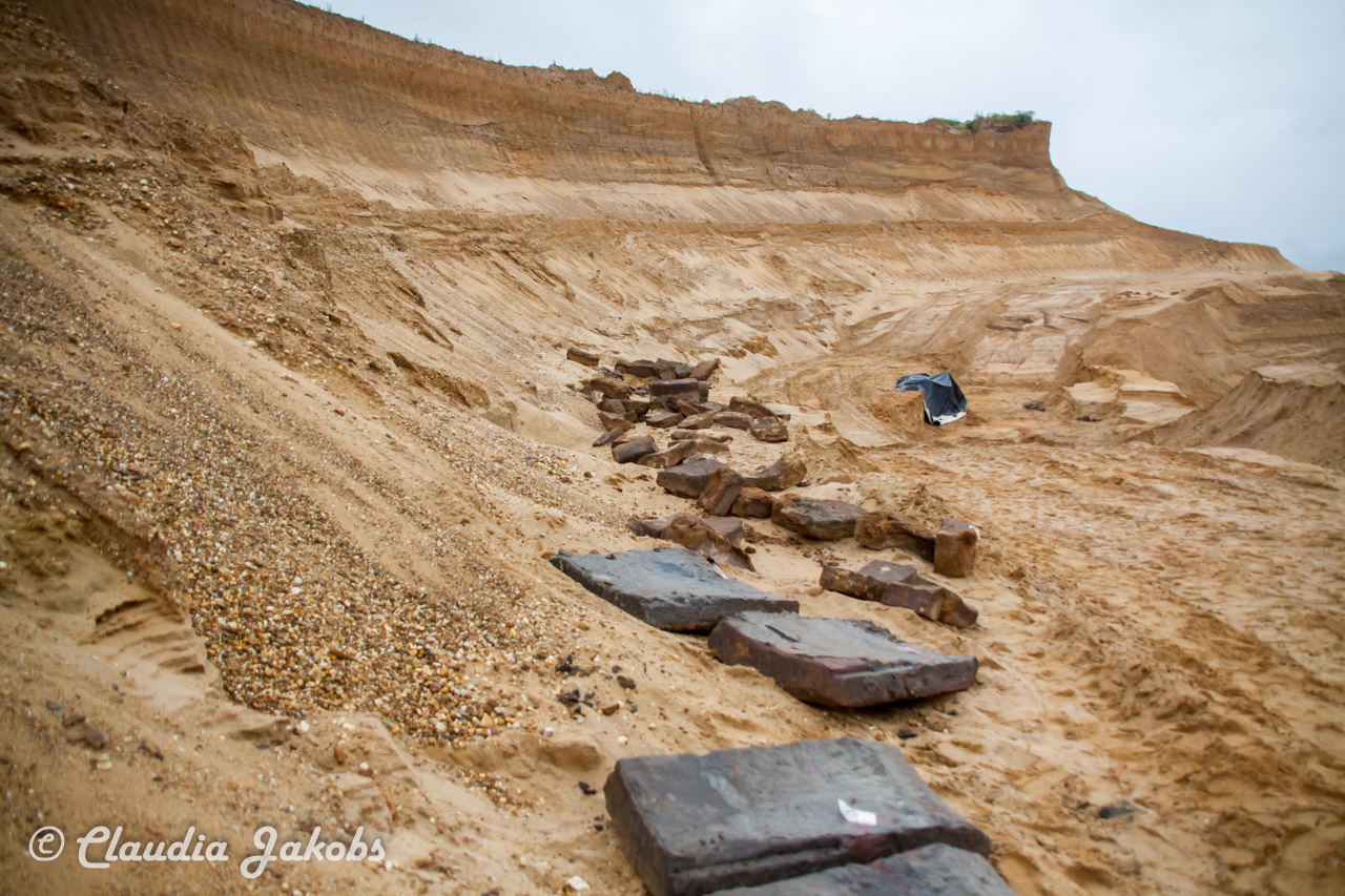 20200708175512 IMG 6640