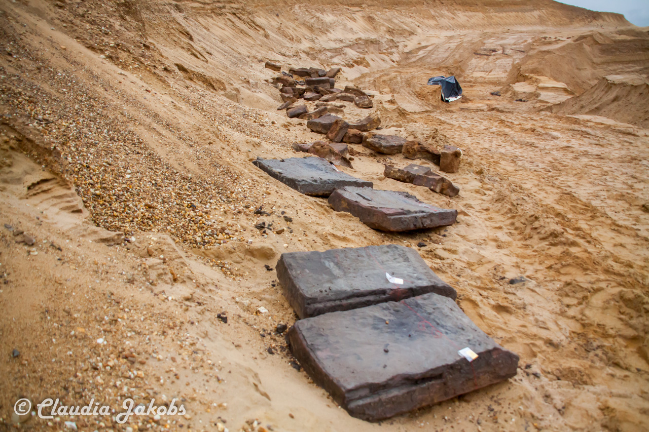 20200708175516 IMG 6641