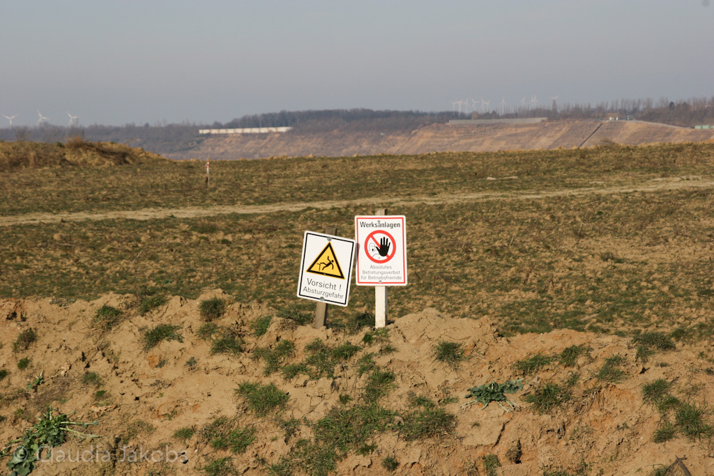 120205124305 IMG 1584