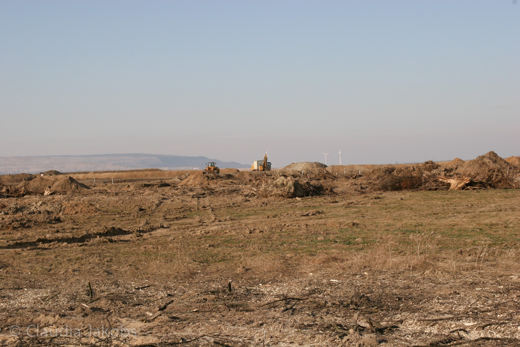 120205124529 IMG 1586