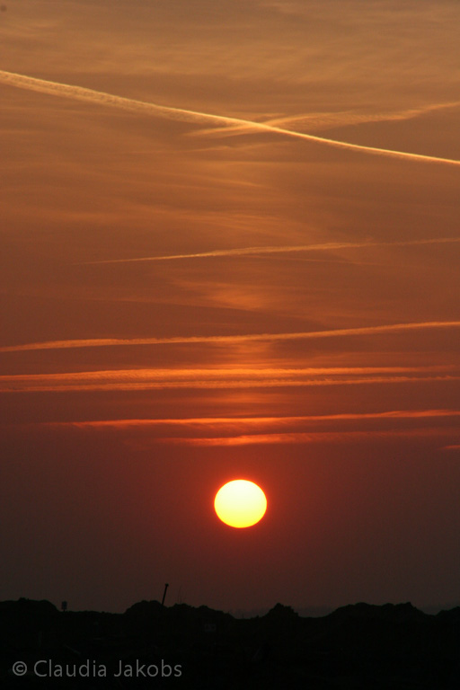 120316183023 IMG 1734