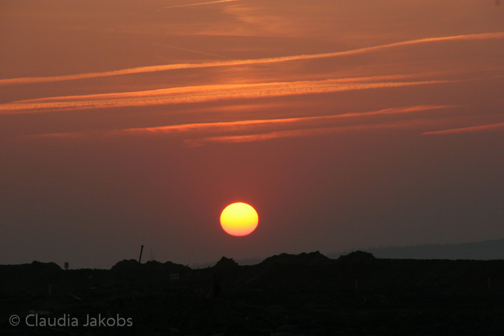 120316183347 IMG 1738