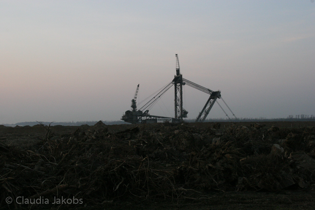 120316183557 IMG 1745