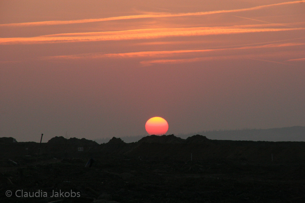 120316183621 IMG 1747